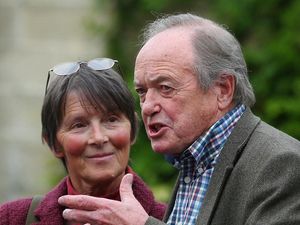 Supporting image for story