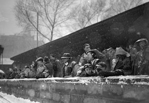 The crowd at the Gay Meadow, the ground of Shrewsbury Town, endure freezing conditions for the Third Division (Northern) match between the Town and Darlington FC played on Saturday, December 30, 1950