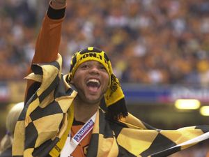 Supporting image for story: Joleon Lescott: Wolves can fight off predators