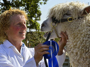 Supporting image for story: Pictures and video: Thousands enjoy the sunshine at Shropshire's Minsterley Show