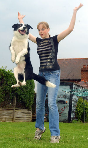 Supporting image for story