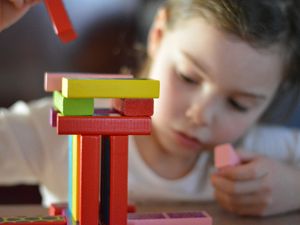 Supporting image for story: Funding U-turn plunges Midlands nurseries into crisis