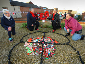 Supporting image for story: St Georges community poppy pebble project is a success