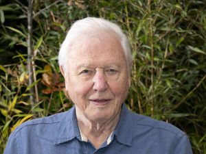 Supporting image for story: Peter Rhodes on the connection between a bogus 'Red Indian,' a crusade to save the forests and the life passion of David Attenborough