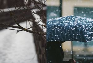 Stock images of a snowy path and snow falling on an umbrella.