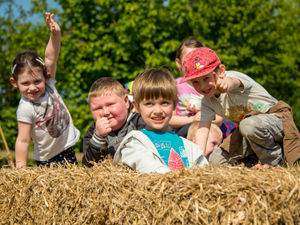 Supporting image for story: Annual Spring Fair returns to Market Drayton farm