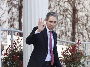 Supporting image for story: Irish general election date confirmed for November 29