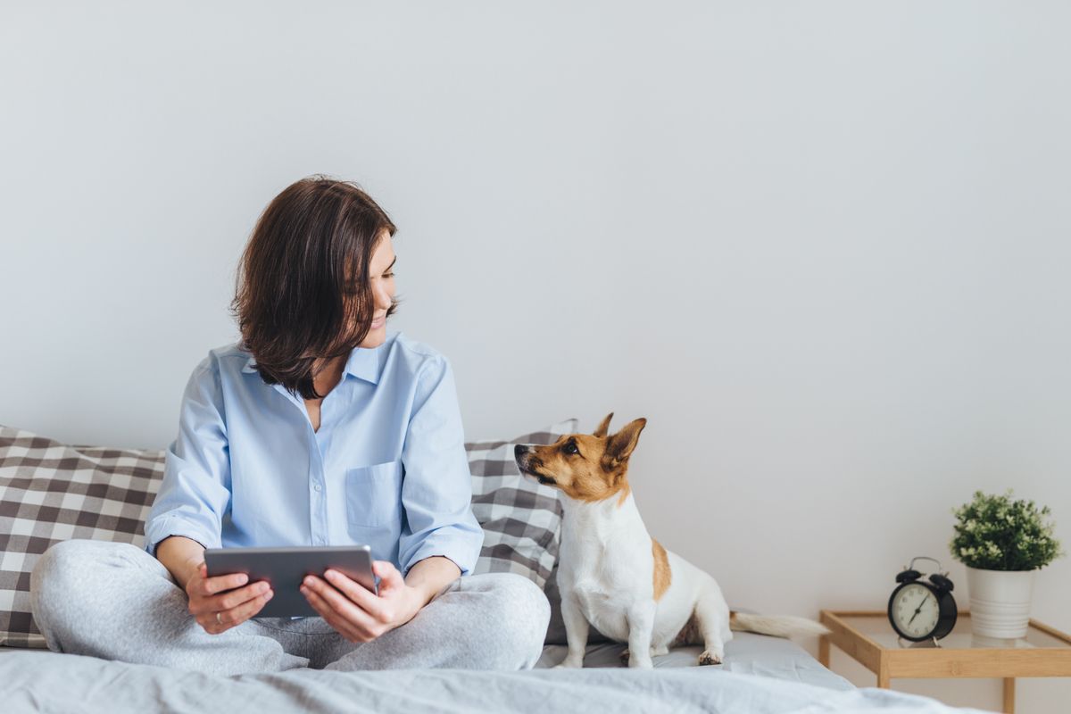 Leading West Midlands housing association welcomes responsible pet owners with top tips for animal-proofing their new home