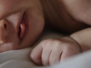 Supporting image for story: Elizabeth Joyce: Visits to the office with baby won't work for me