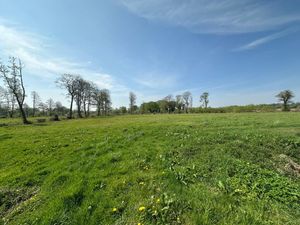 The land in Market Drayton is for sale with a guide price of £80,000. Picture: Rightmove/Barbers Rural Consultancy LLP.