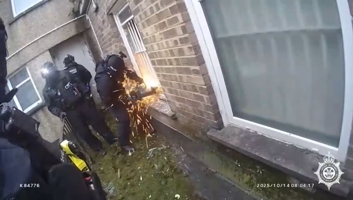 Watch the dramatic moment police find 300 cannabis plants in former HSBC bank