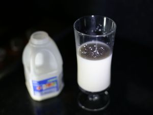 Supporting image for story: Plant milks ‘not nutritionally equivalent’ to cows’ milk – expert review