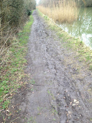 Solihull's muddy tow path, picture: Graeme Brookes