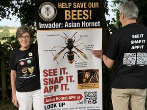 Supporting image for story: Can you spot the difference to help defend our bees?