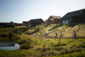 You could also hire a bike and take a cycle or walk around Bluestone’s serene woodland nature trails.