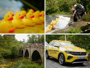 Supporting image for story: 'It went swimmingly!' Duck race was all it was quacked up to be - and raised cash for good causes
