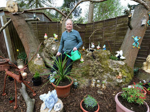 Supporting image for story: Plucky pensioner battles cancer and heart attack to create Wombourne wonderland garden