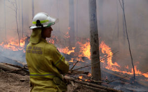 A firefighter keeps an eye on a controlled fire as they work at building a containment line at a wildfire near Bodalla, Australia,