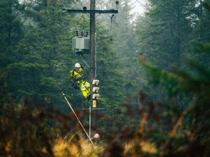 Supporting image for story: Power restored to all homes almost a week after Storm Amy swept in