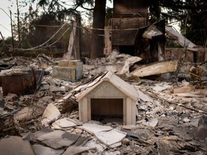 Supporting image for story: California officials warn against soaring rents after deadly firestorms