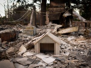Supporting image for story: California officials warn against soaring rents after deadly firestorms