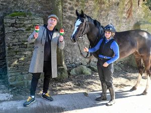 Supporting image for story