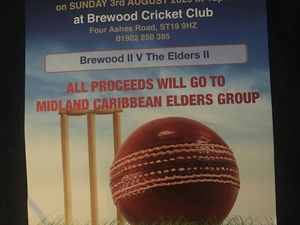 Supporting image for story: Cricket match fundraiser: Brewood II v The Elders II
