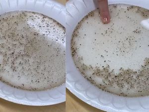 Supporting image for story: Teacher goes viral with science experiment teaching importance of hand-washing