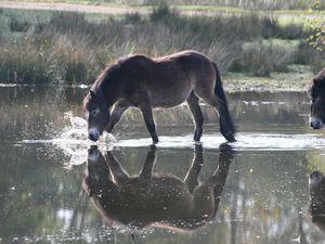 Supporting image for story: Star Witness: Your best pictures so far