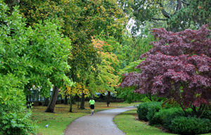 West Park in Wolverhampton is among four in the city to receive a Green Flag Award.