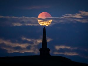 Partial lunar eclipse