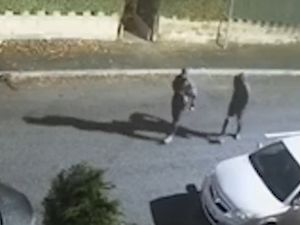 Supporting image for story: CCTV released in hunt for burglars after woman attacked with machete