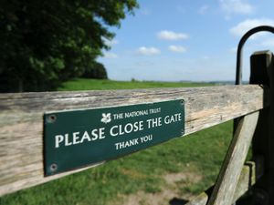 Supporting image for story