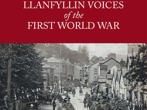 Supporting image for story: New book gives voice to a town at war