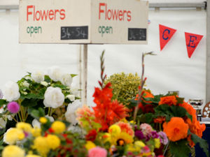 Supporting image for story: Eccleshall Show cancelled due to coronavirus pandemic