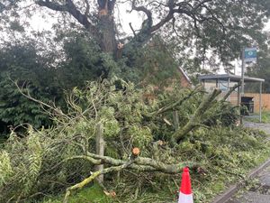 Supporting image for story: Around 12,000 homes still without power as Storm Amy clean up continues