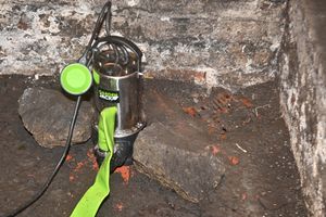 The cellar is covered in grime and sludge. 