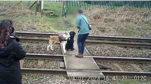 Dog walkers sitting their pets on the tracks so they can take a photo. Photo: Network Rail.