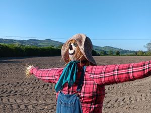 Supporting image for story: Worthen' and Brockton's revive Scarecrow Trail