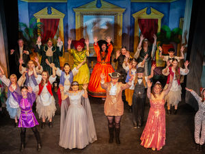 The pantomime returns at Theatre on the Steps in Bridgnorth. Picture: J C J Hudson Photography.