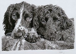 'People think they are photographs'_ See the inc... - Article Edit - GPP