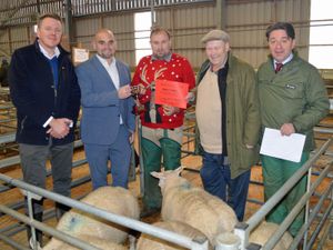 Supporting image for story: Potters are just champion at Christmas prize show in Shrewsbury