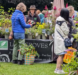 Summer Plant Hunters' Fair at Whittington Castle 