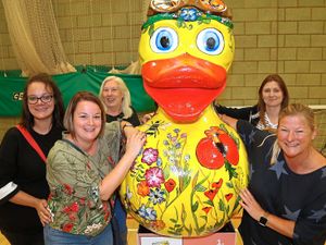 Supporting image for story: Not so quackers! Delight after Telford's giant ducks raise £30,000 for charity
