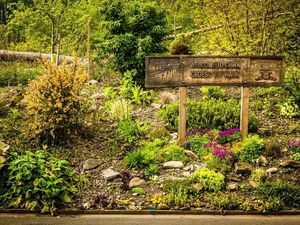 Supporting image for story: Protecting wildlife and green spaces is the aim of Transport for Wales