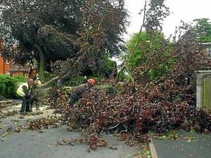 Supporting image for story: High winds and heavy rain hit Shropshire