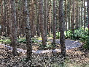 Supporting image for story: Survey launched to help prioritise conservation across Staffordshire