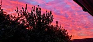 Melvin Cooper took this photo in Milking Bank, Dudley