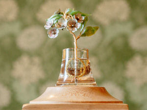 Supporting image for story: Precious Fabergé flower worth up to £1 million unveiled at Himley Hall