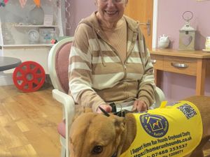 Caption: Janice Holloway, resident at Sanctuary Care’s Lime Tree Court Residential Care Home with retired racing greyhound, Popeye 